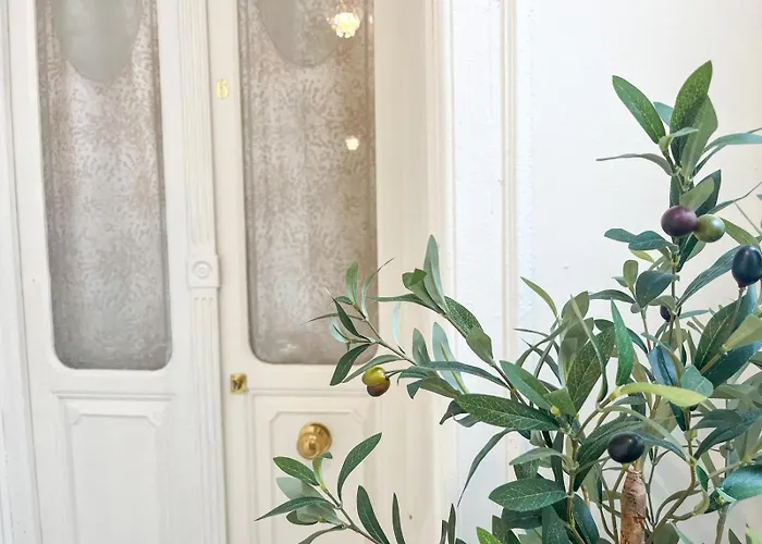 Loles De Cisneros Catedral Apartment *